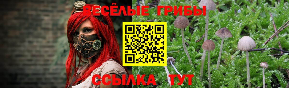 Псилоцибиновые грибы прущие грибы Тулун
